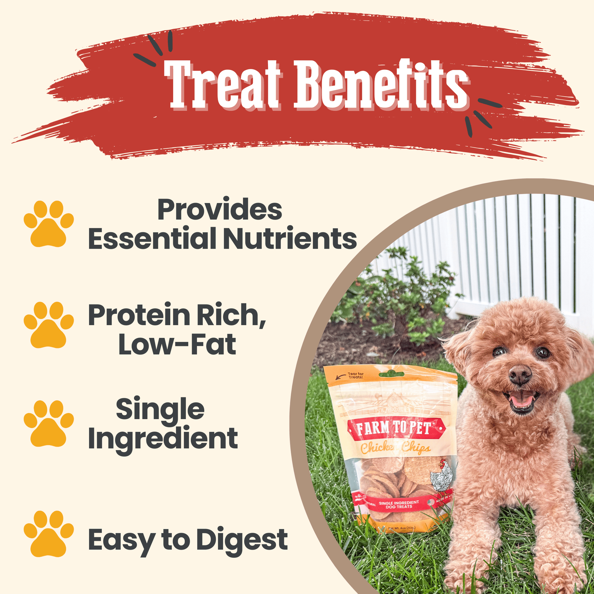 Chicken Chips for Dogs | All - Natural Single - Ingredient Dog Treats - Boske.store
