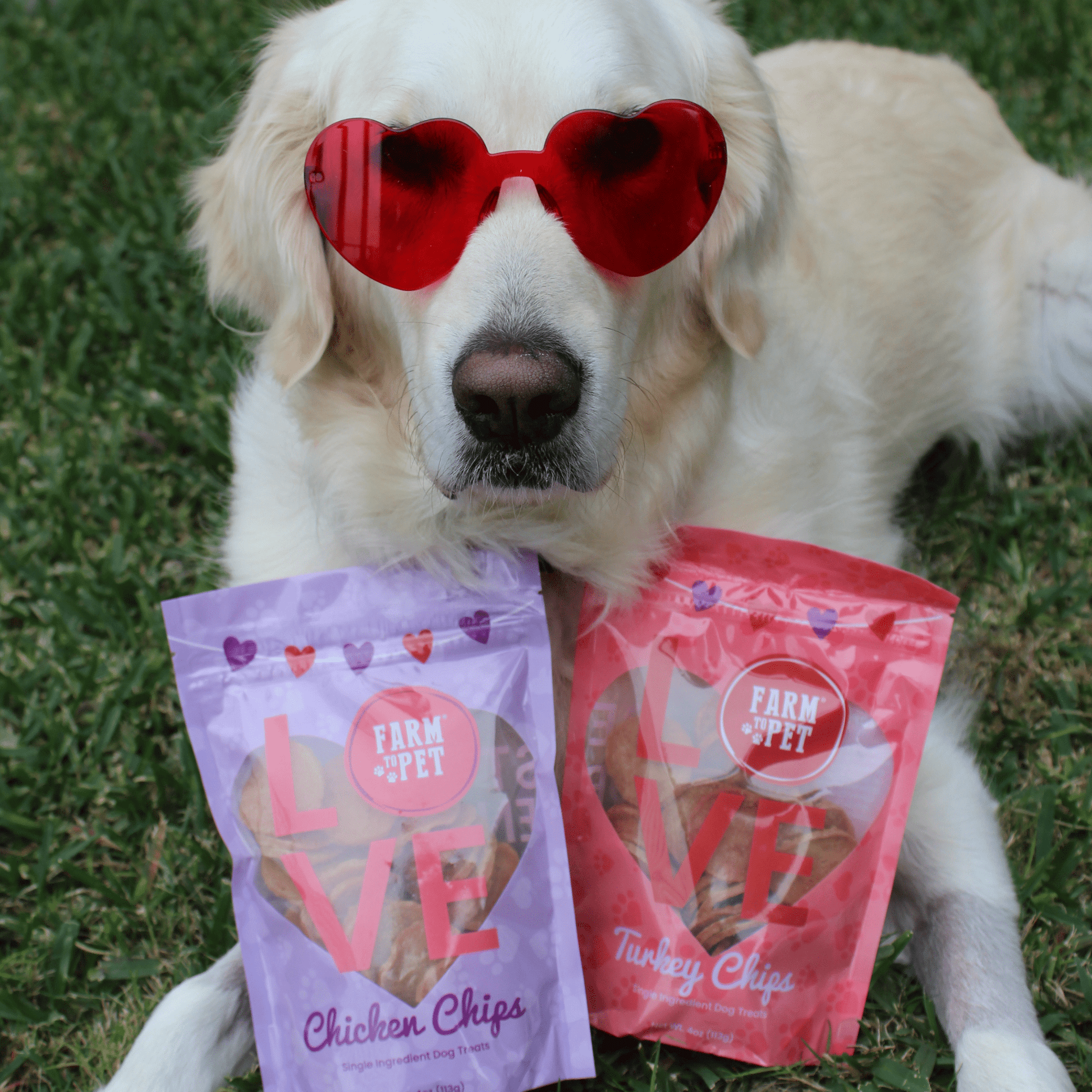 Puppy Love Dog Treat Duo | Poultry Chip Variety Pack - Boske.store