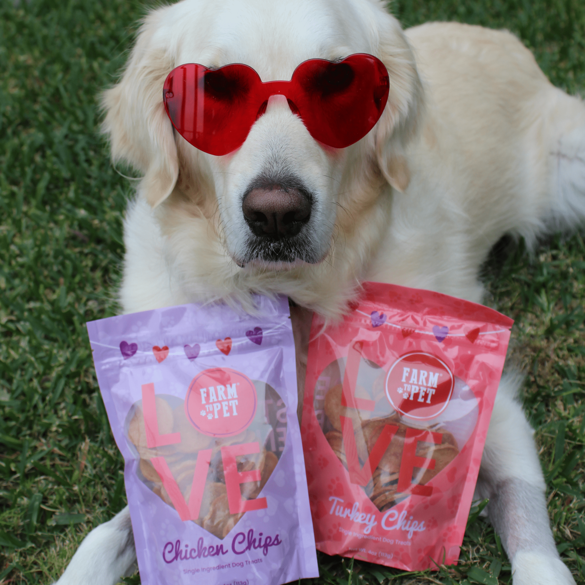 Puppy Love Dog Treat Duo | Poultry Chip Variety Pack - Boske.store