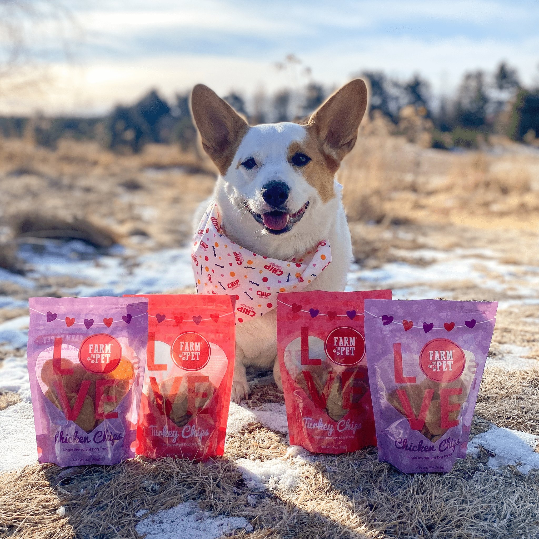 Puppy Love Dog Treat Duo | Poultry Chip Variety Pack - Boske.store