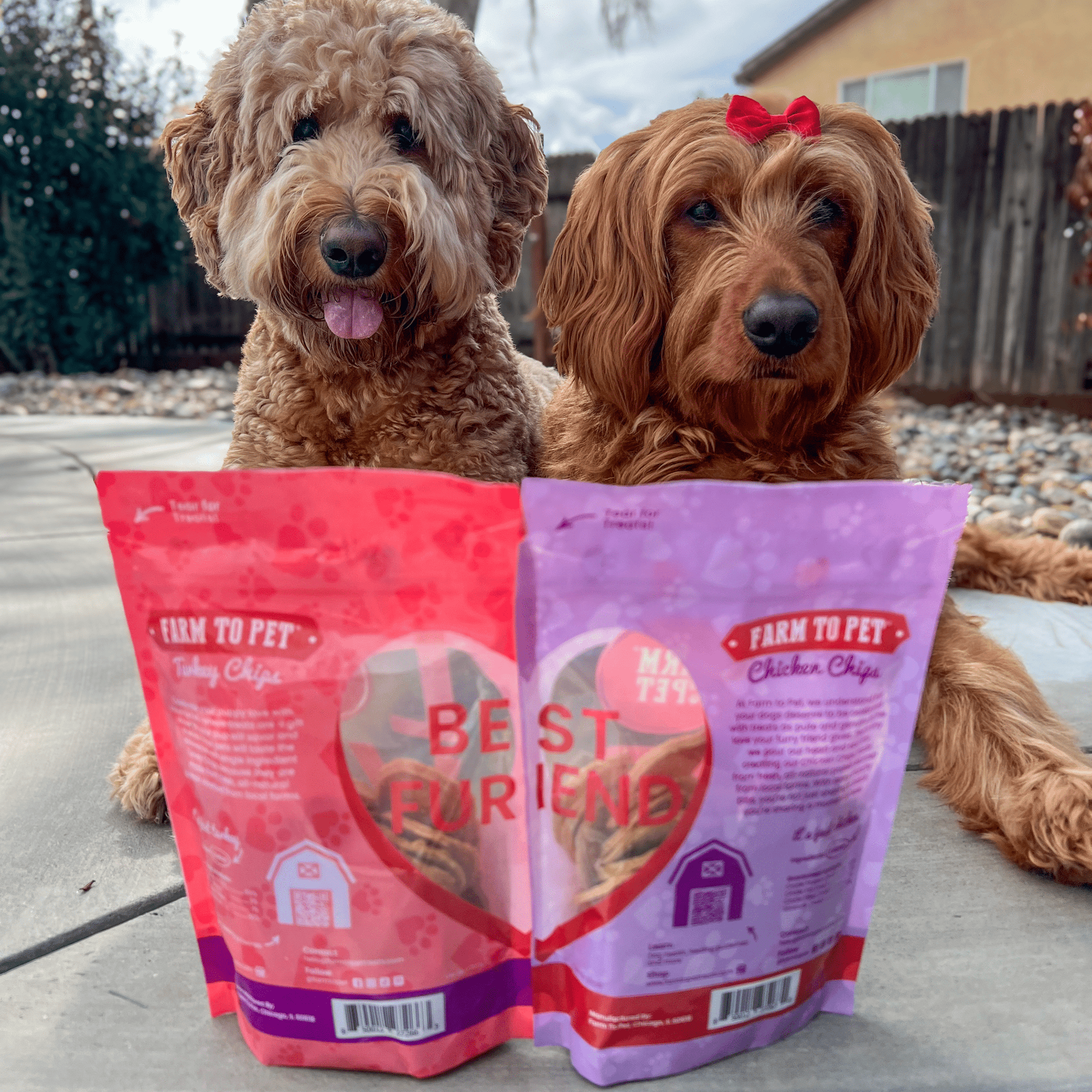 Puppy Love Dog Treat Duo | Poultry Chip Variety Pack - Boske.store