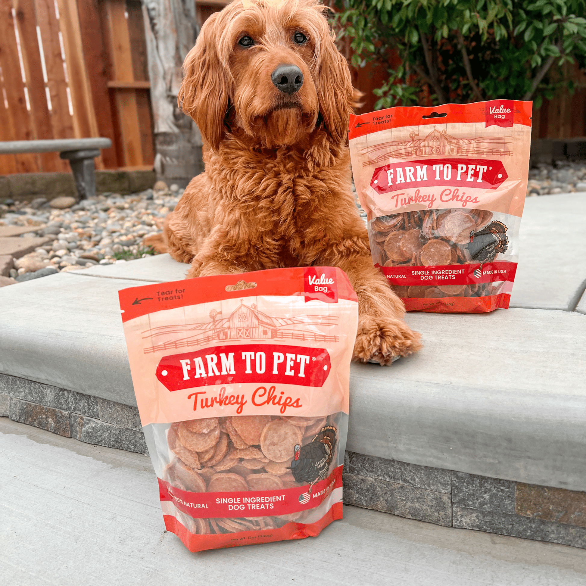 Turkey Chips for Dogs | All - Natural Single - Ingredient Healthy Dog Treats - Boske.store