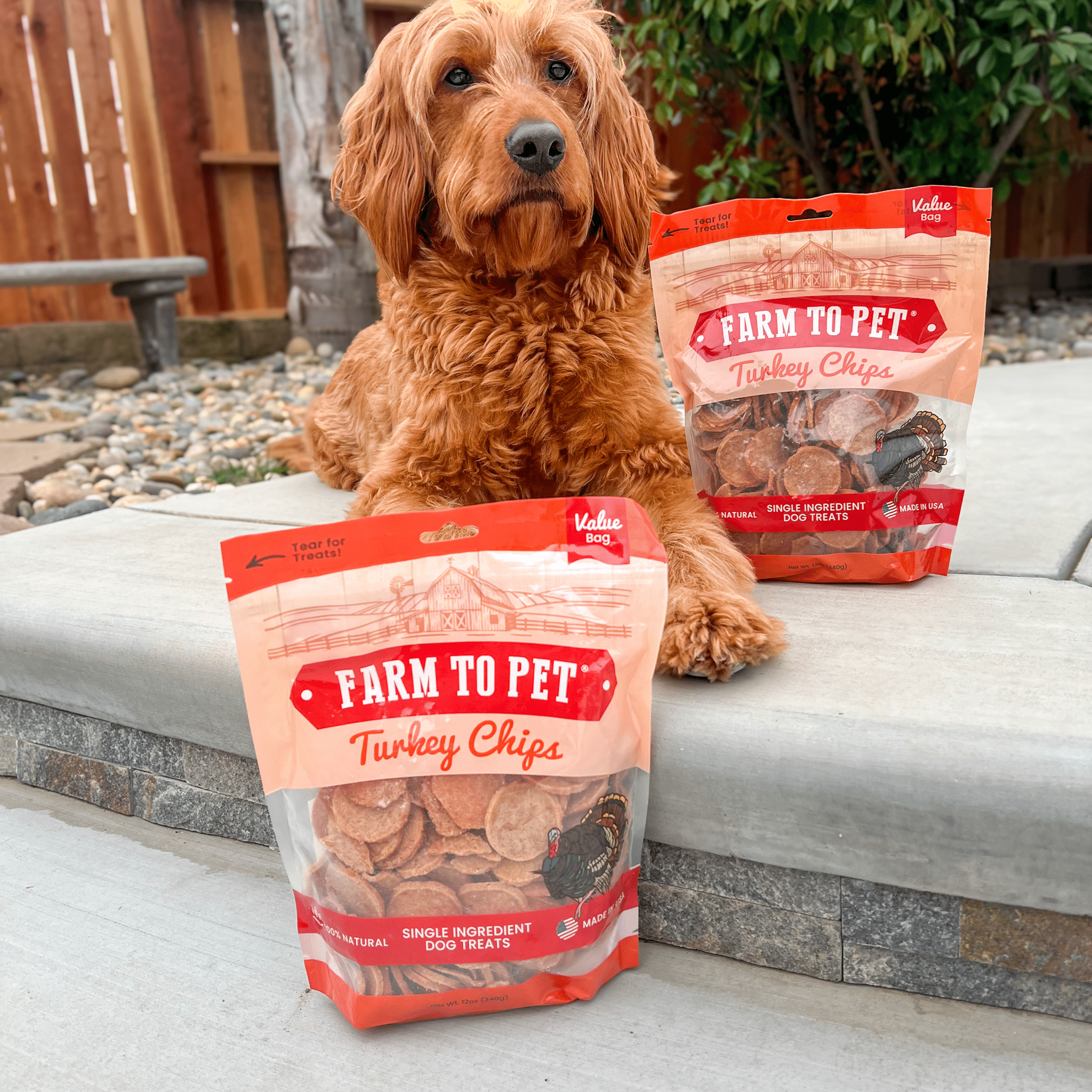 Turkey Chips for Dogs | All - Natural Single - Ingredient Healthy Dog Treats - Boske.store