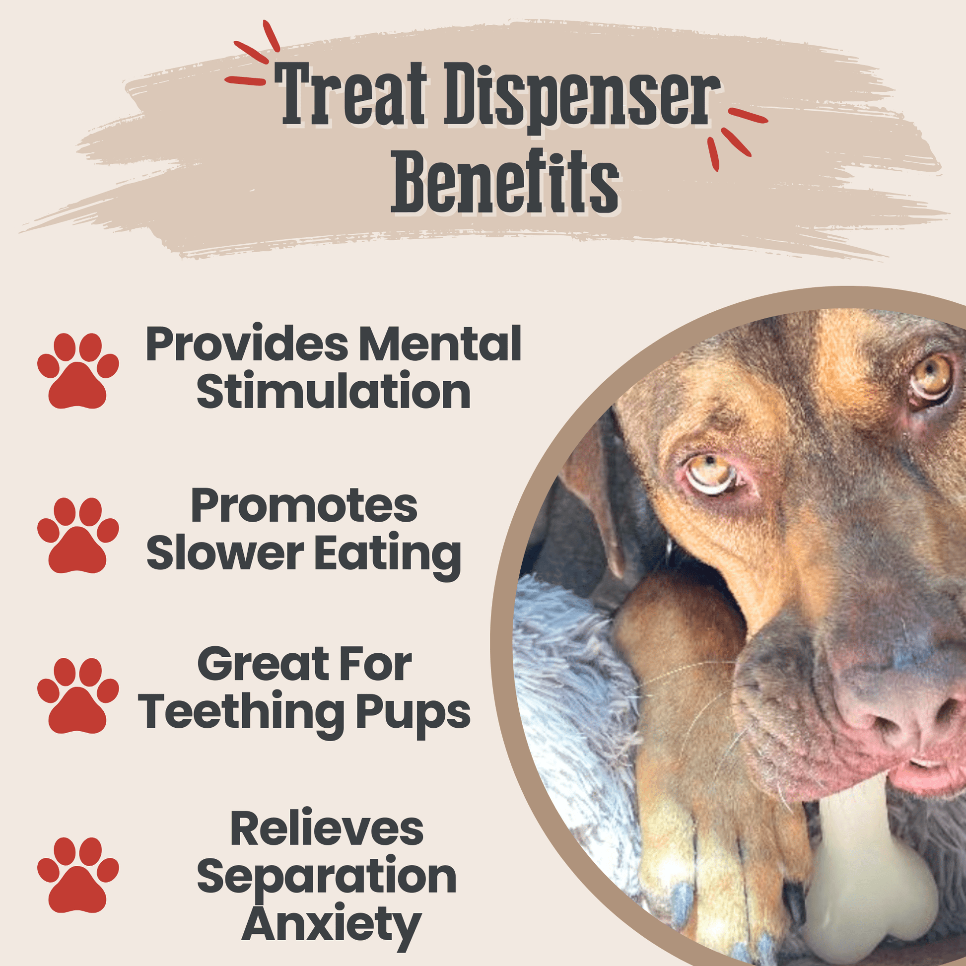 Dog Treat Dispensers - Boske.store