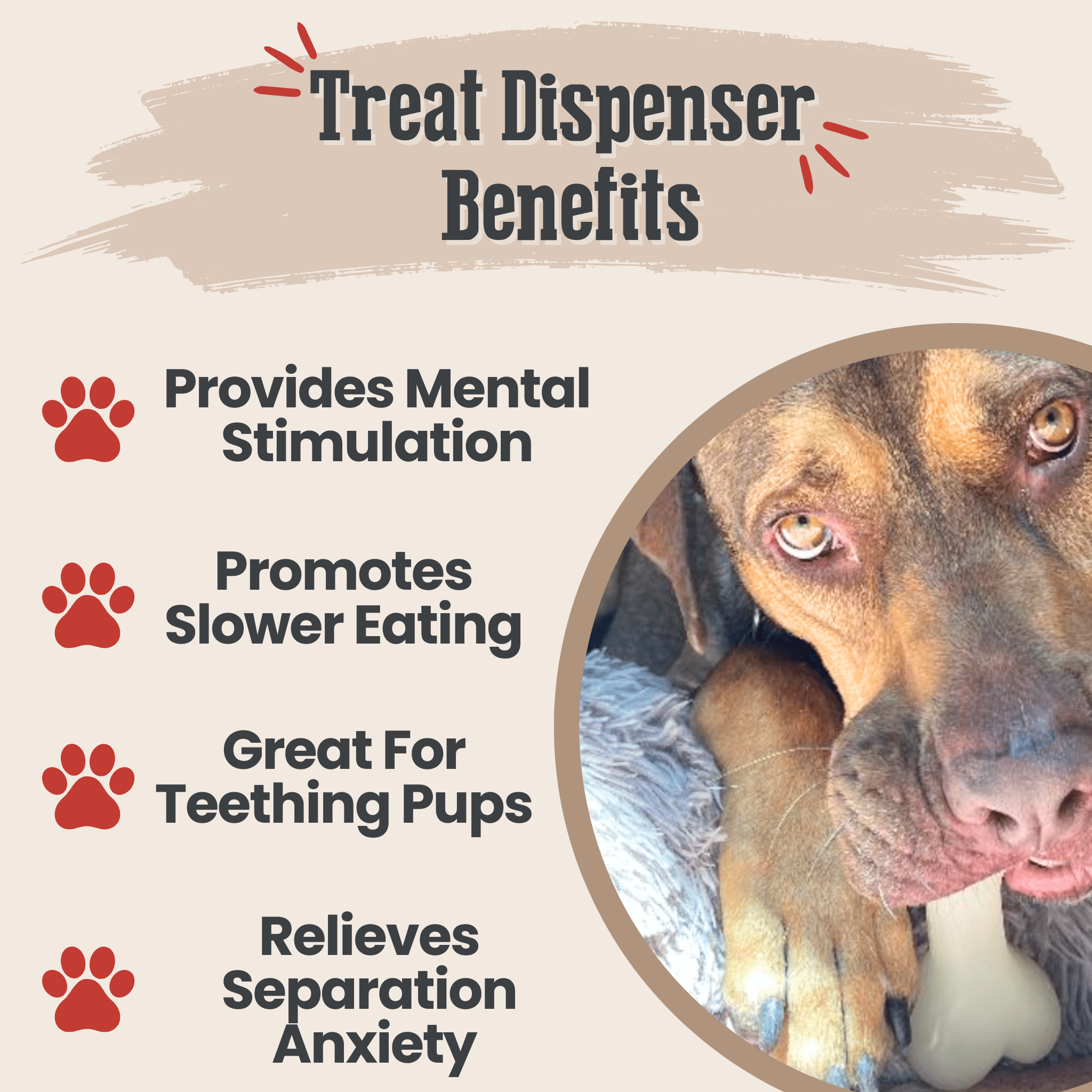Dog Treat Dispensers - Boske.store