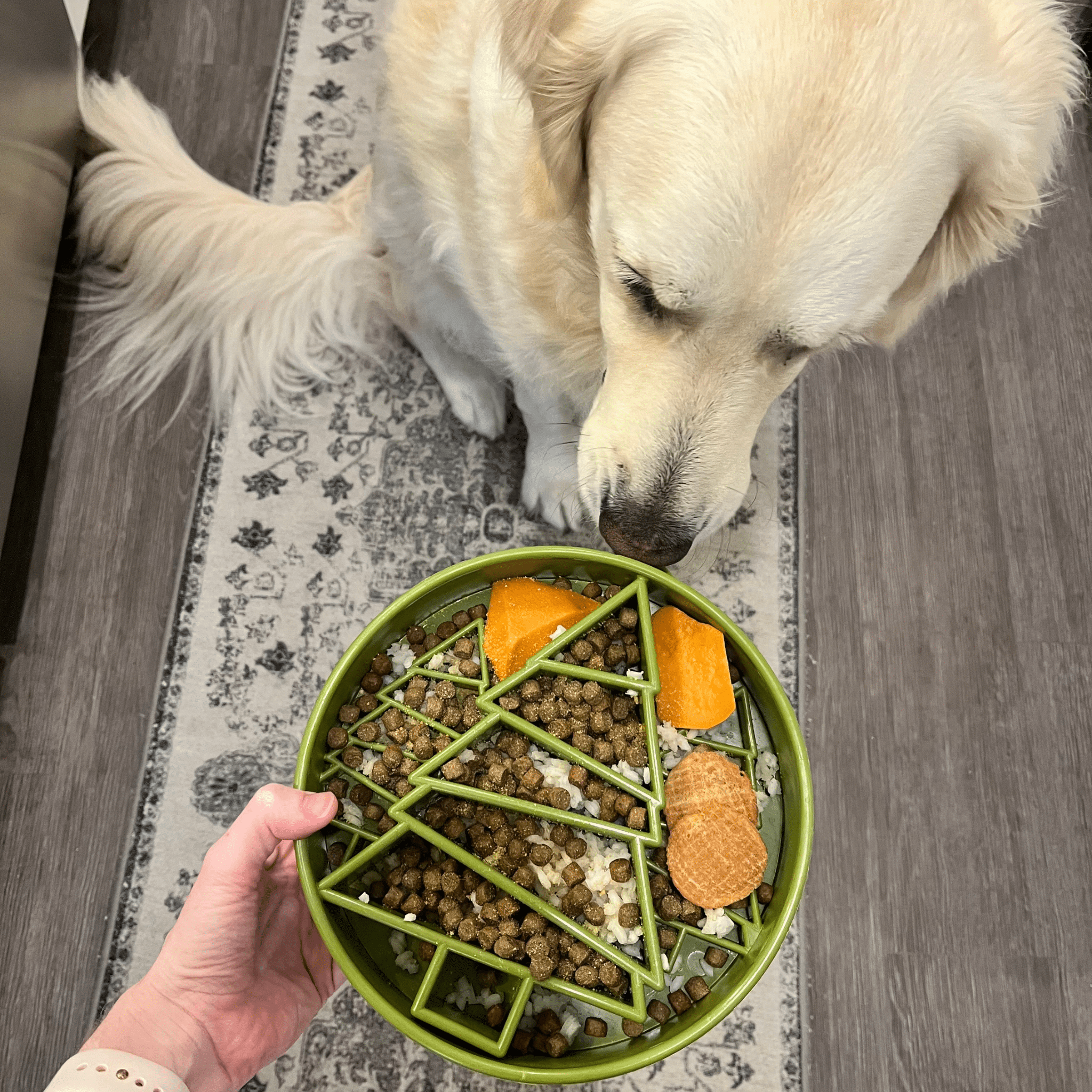Slow Feeder Dog Bowls - Boske.store
