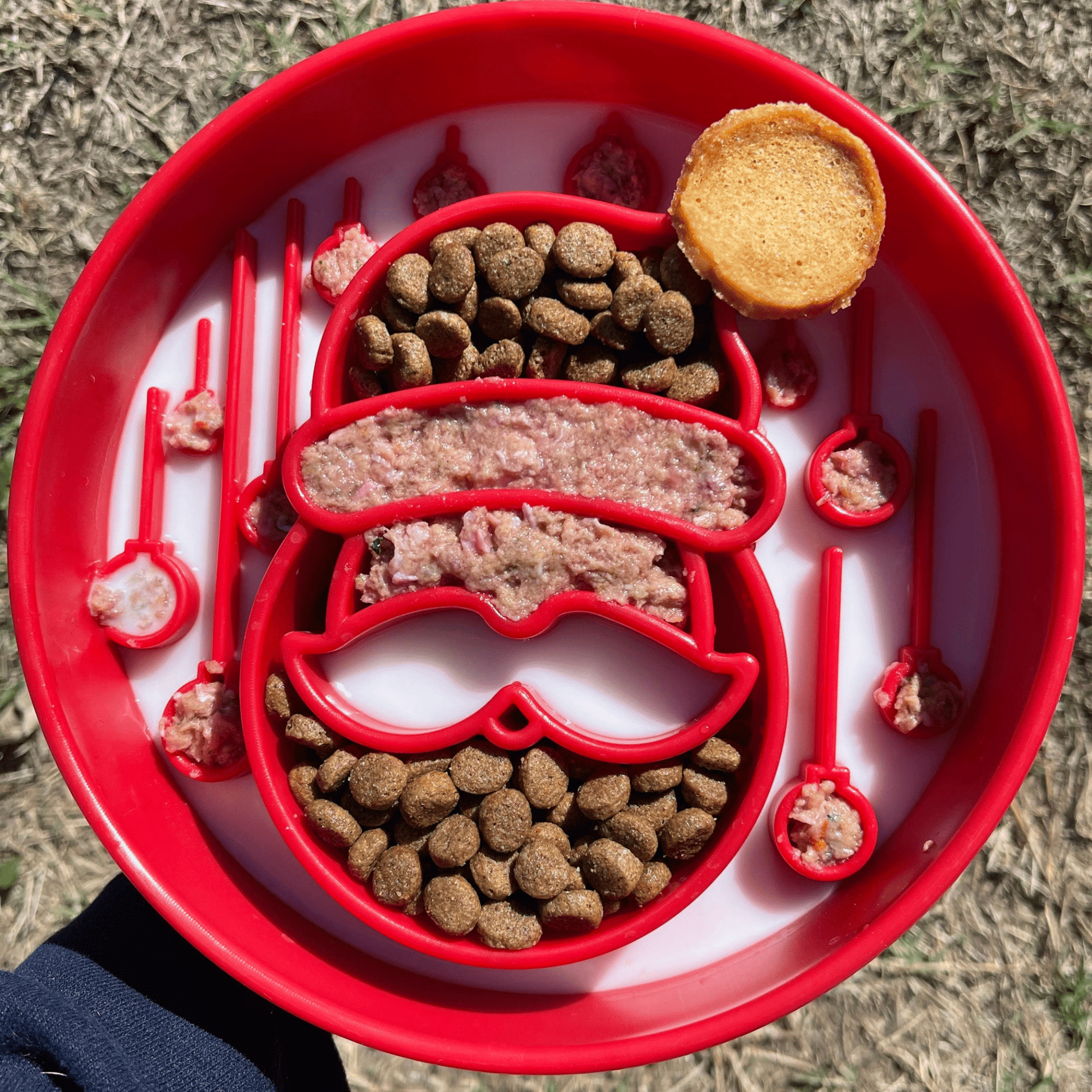 Slow Feeder Dog Bowls - Boske.store