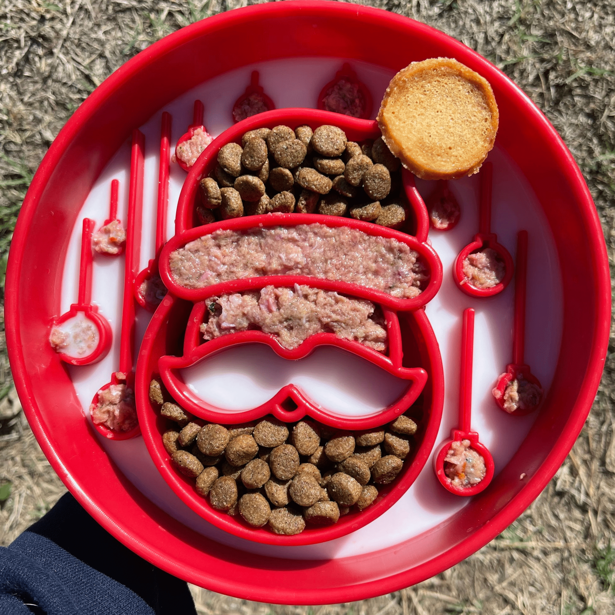 Slow Feeder Dog Bowls - Boske.store