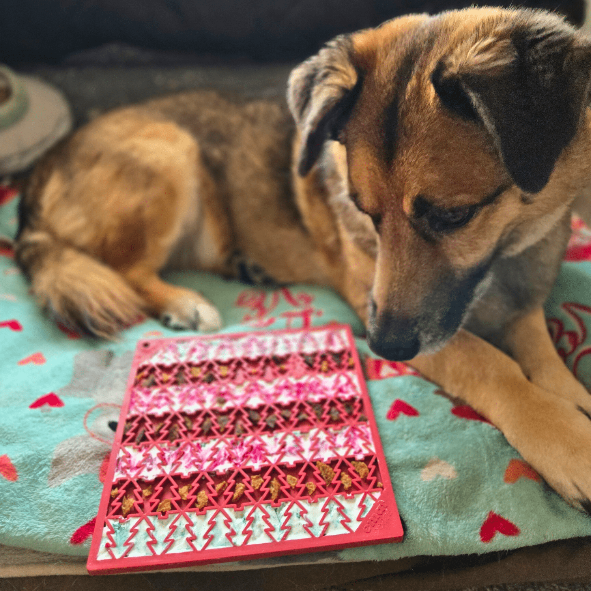 Dog Lick Mats - Boske.store