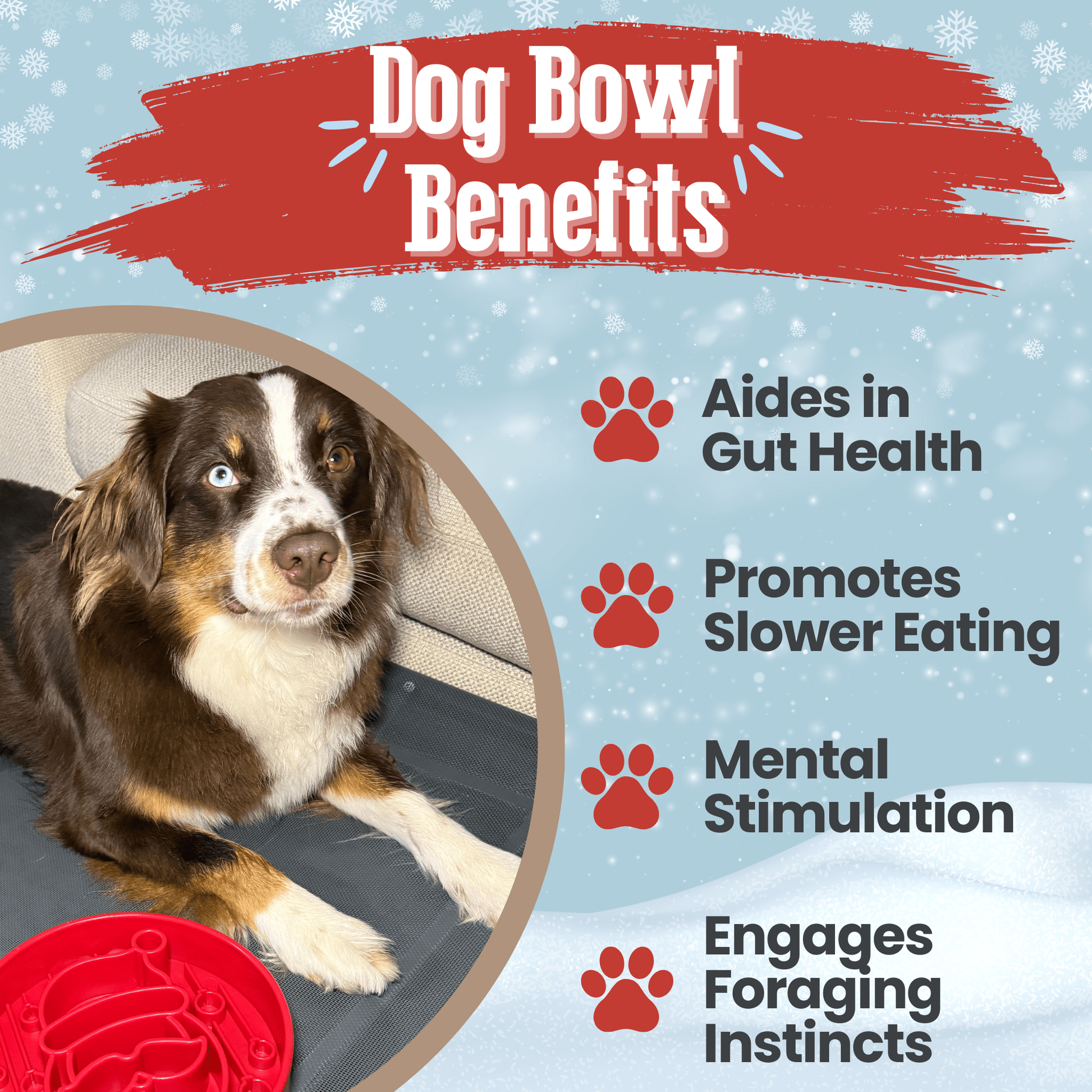 Slow Feeder Dog Bowls - Boske.store