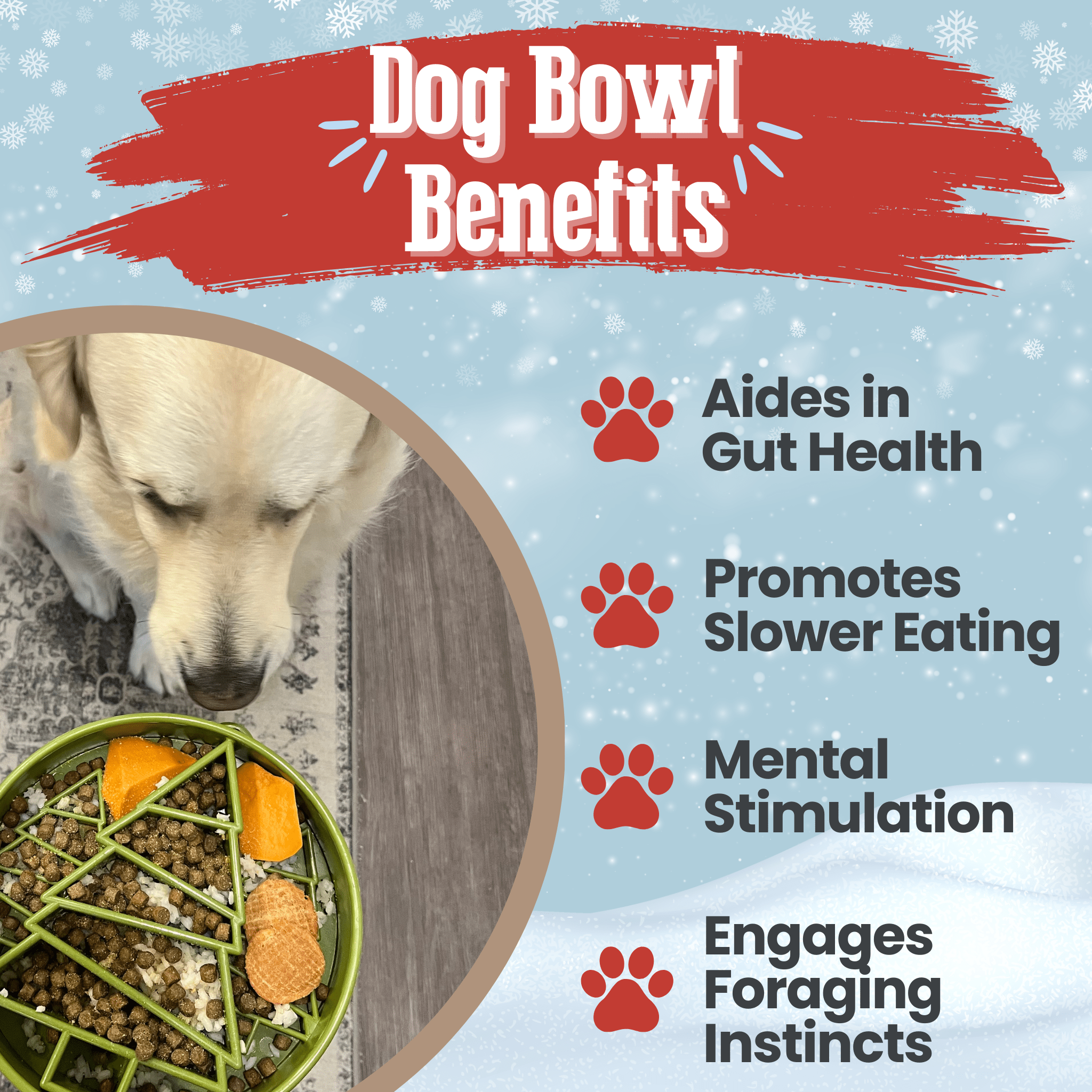 Slow Feeder Dog Bowls - Boske.store