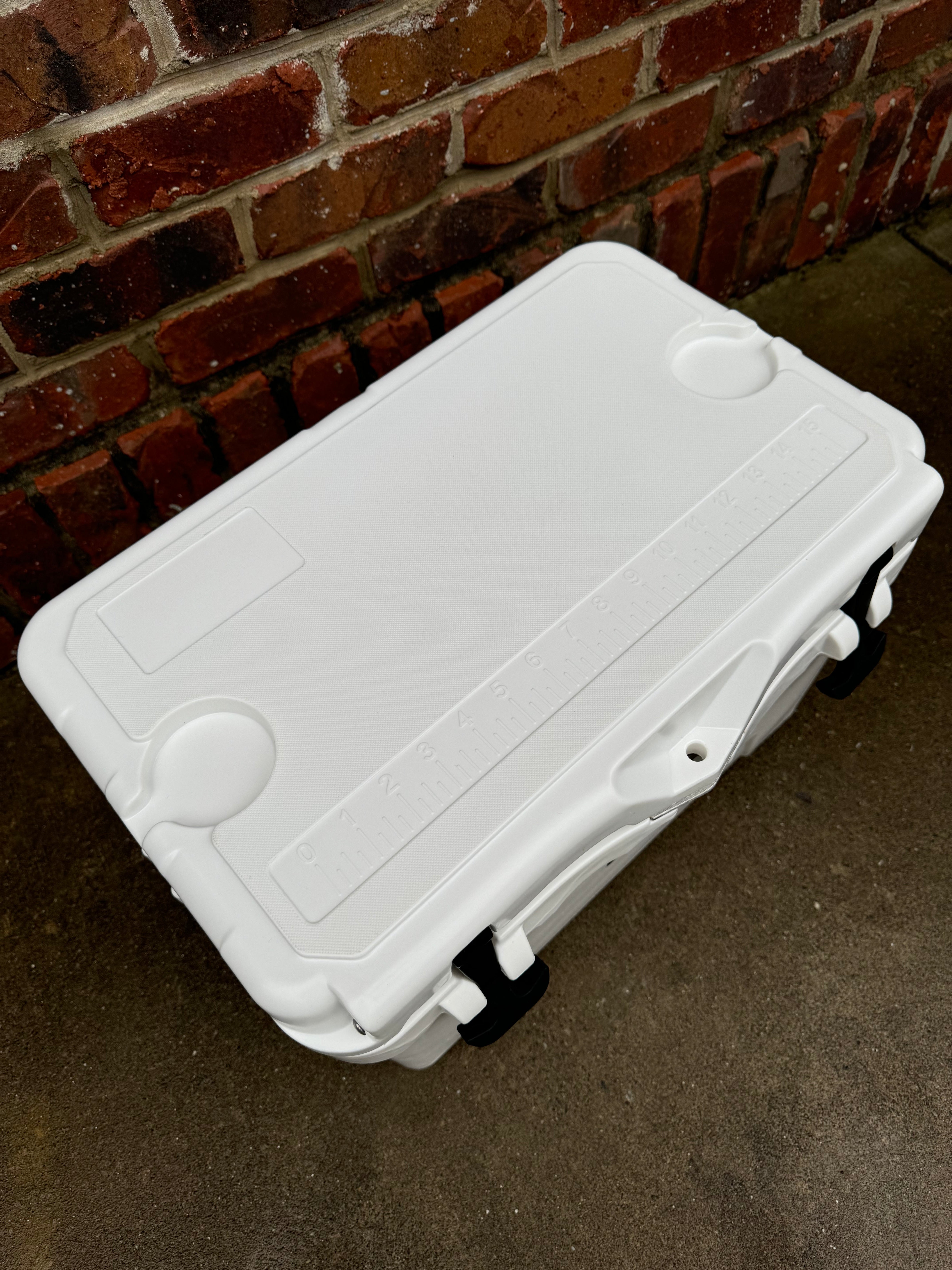 Polar Bear 20 Hard Cooler - Boske.store