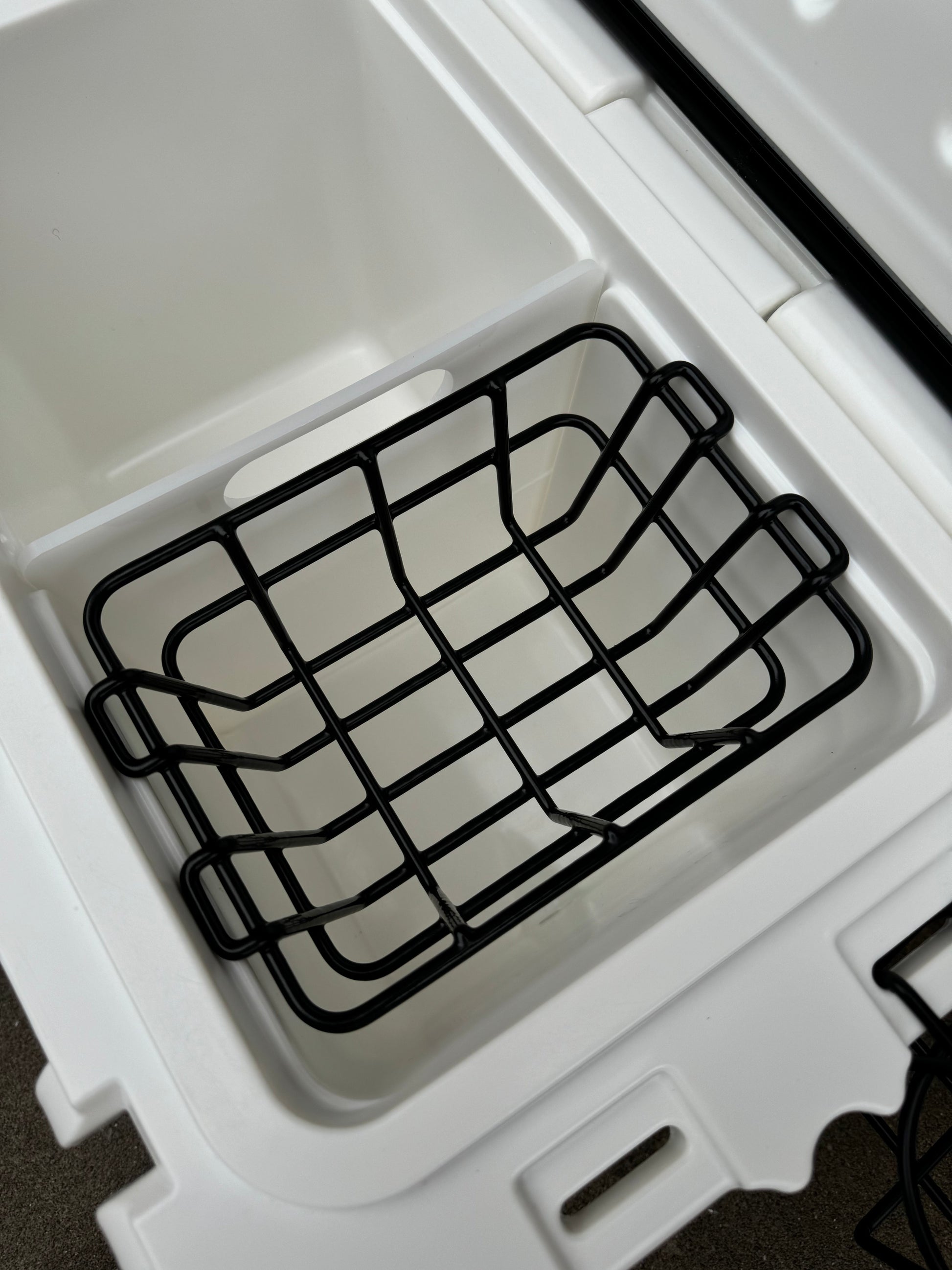 Polar Bear 20 Hard Cooler - Boske.store