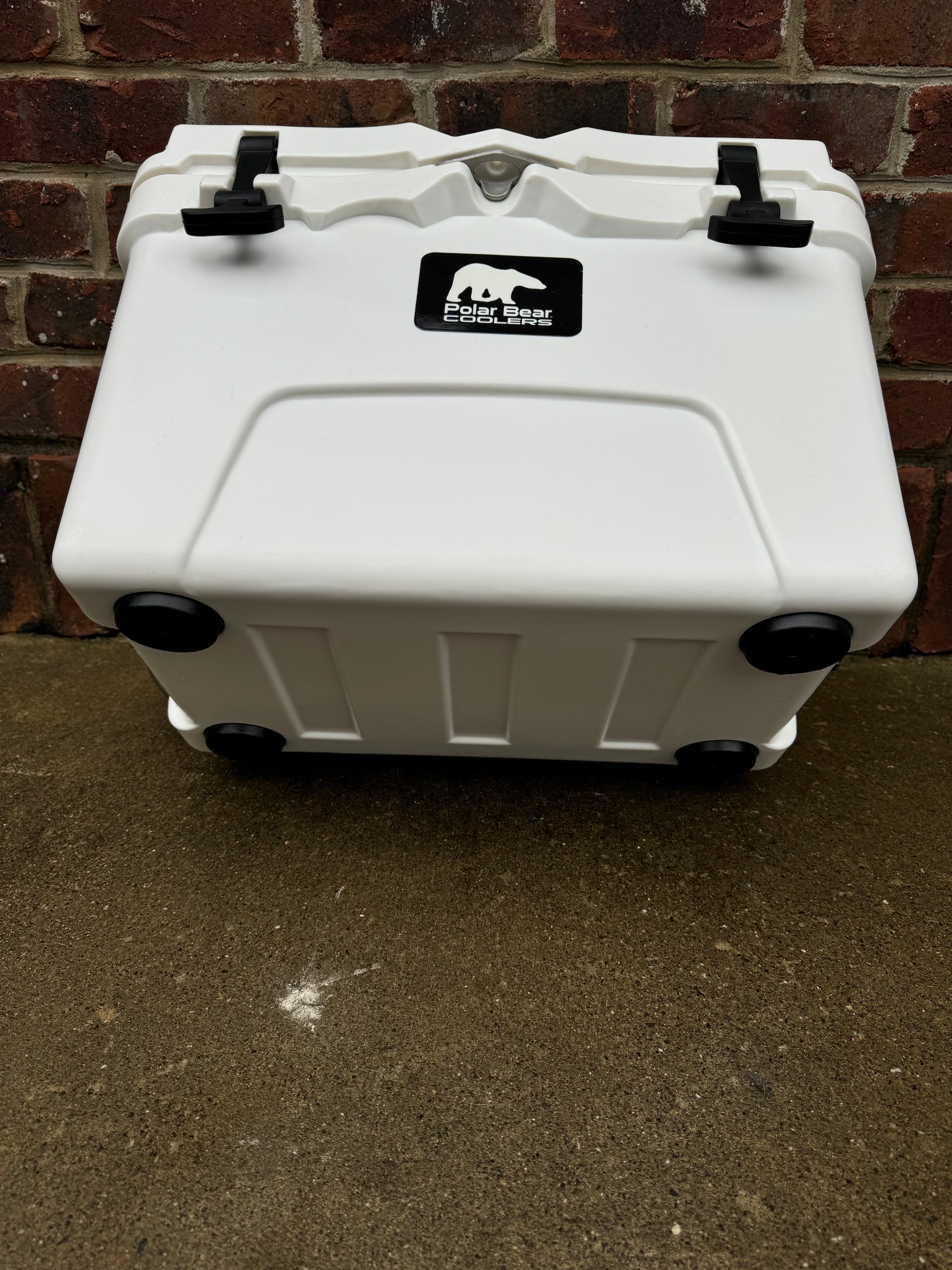Polar Bear 20 Hard Cooler - Boske.store