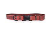 Celtic Sport Coral Reef Leather Dog Collar - Boske.store