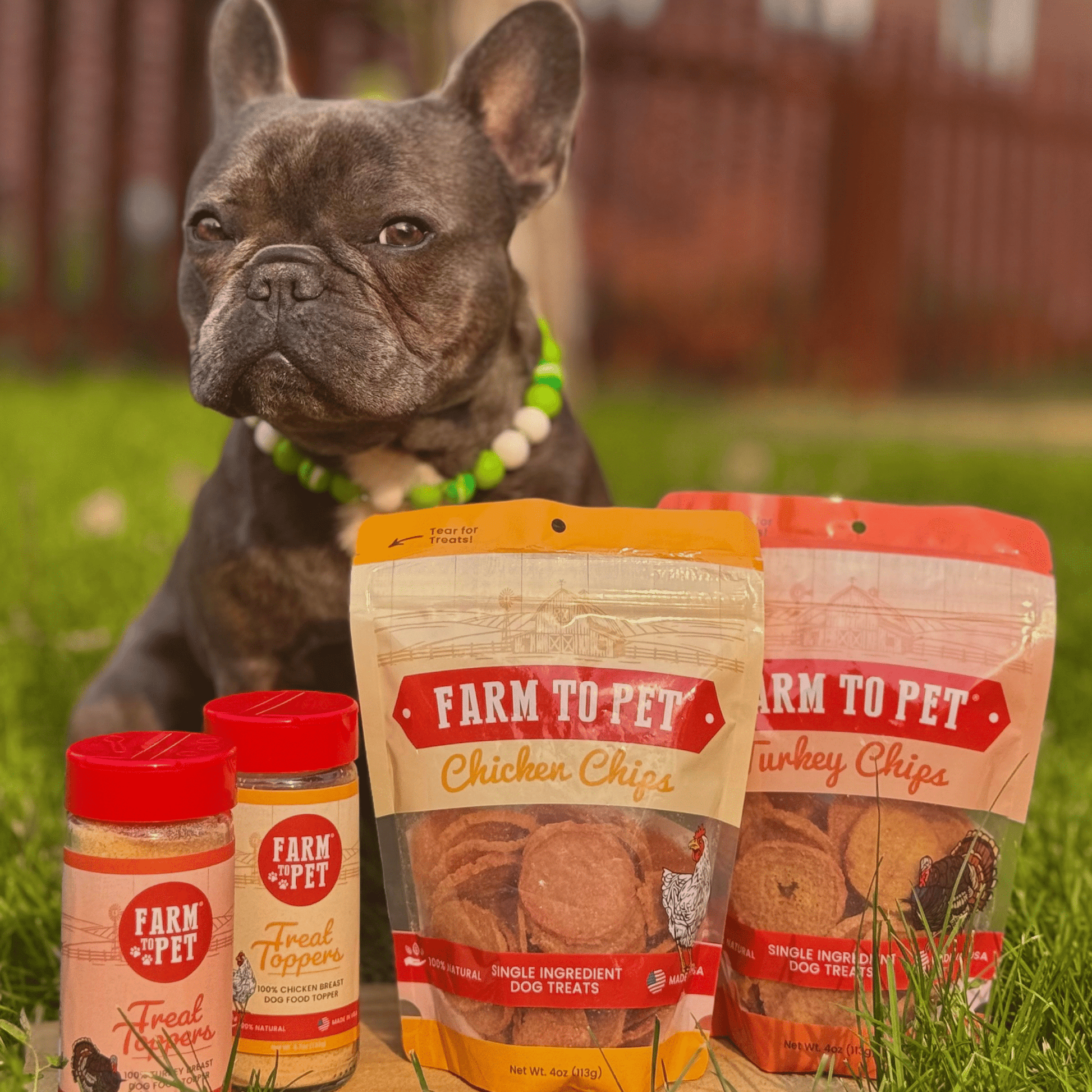 Chicken & Turkey Dog Food Topper Bundle - Boske.store