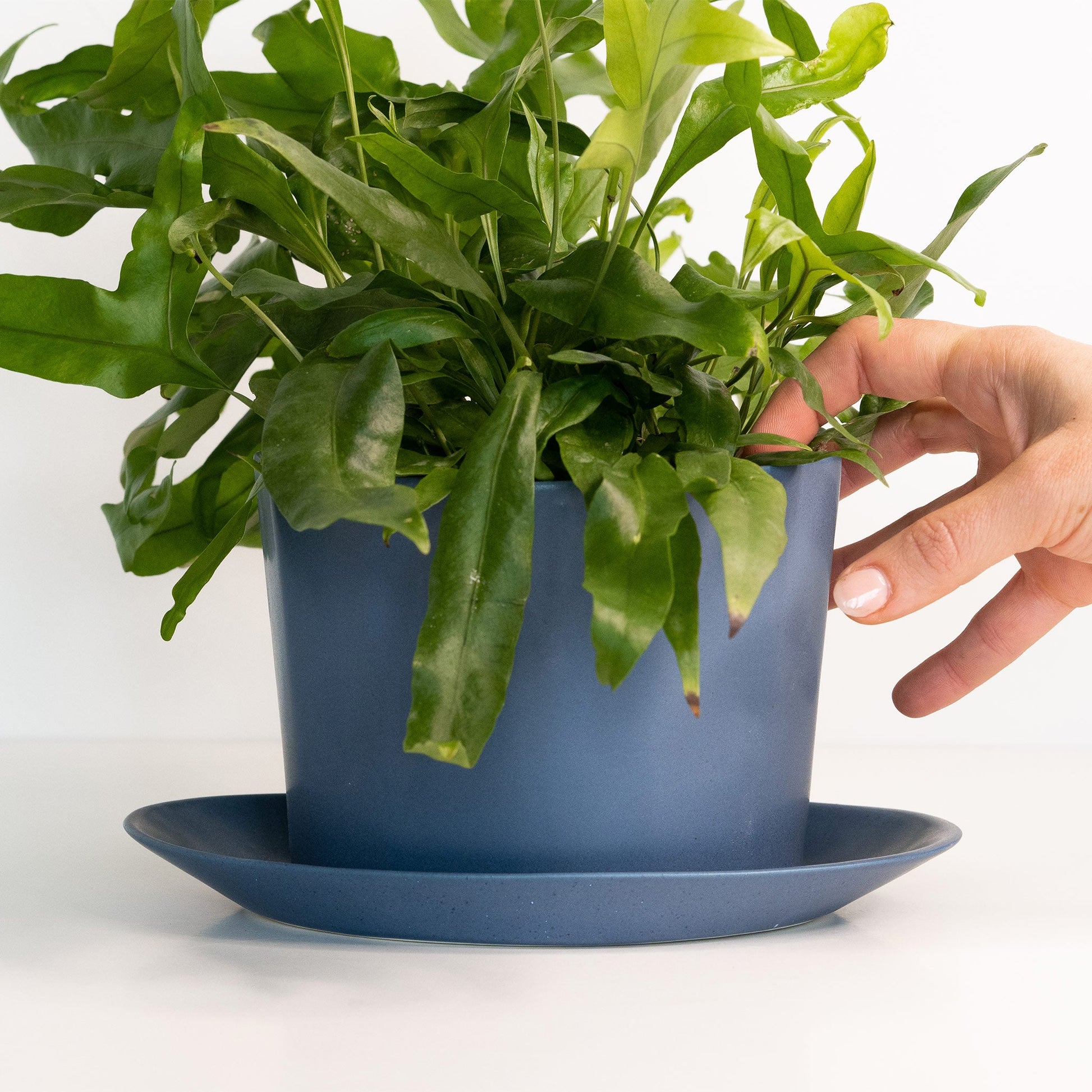Geometric Oval Handmade Porcelain Planter - Boske.store