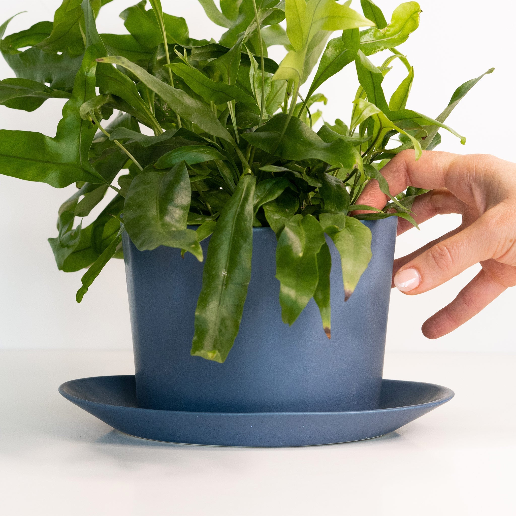 Geometric Oval Handmade Porcelain Planter - Boske.store
