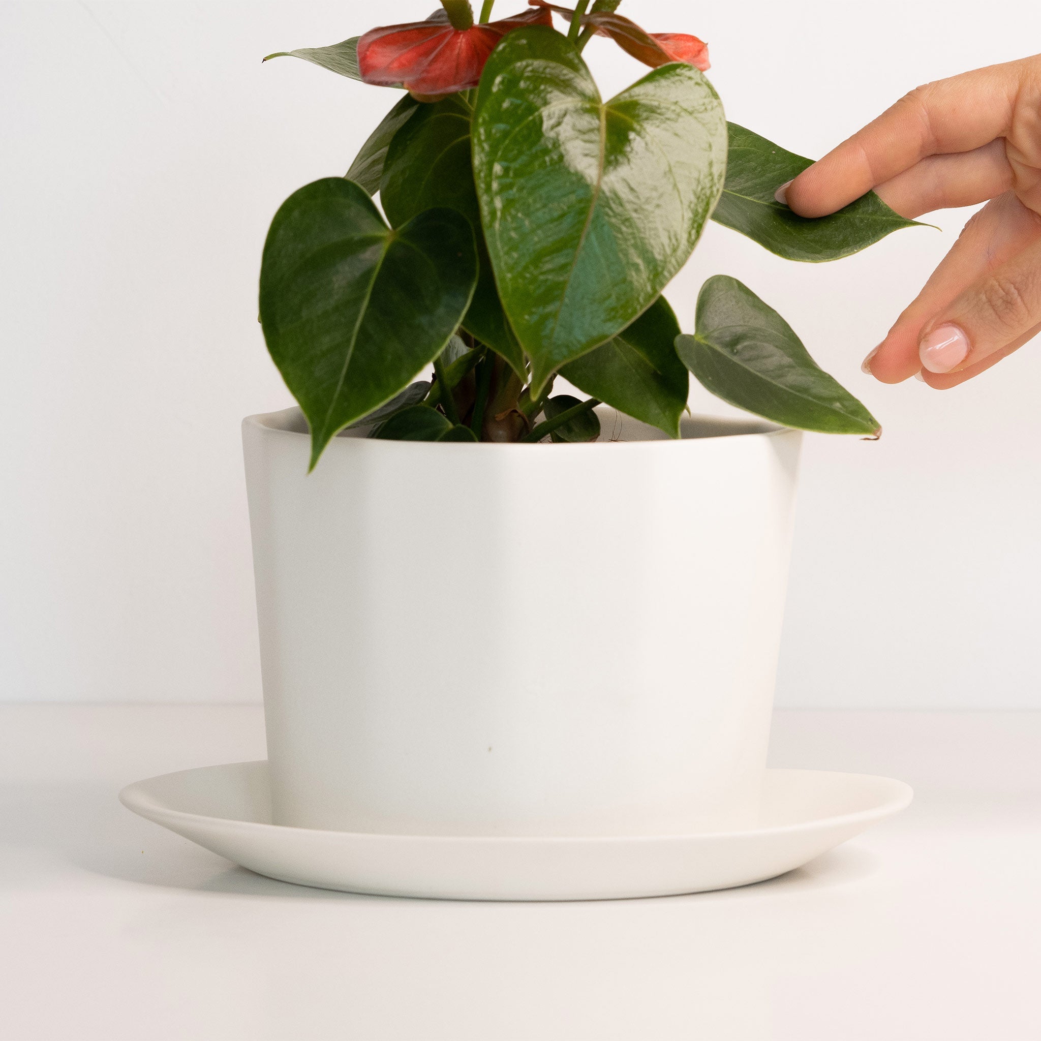 Geometric Oval Handmade Porcelain Planter - Boske.store