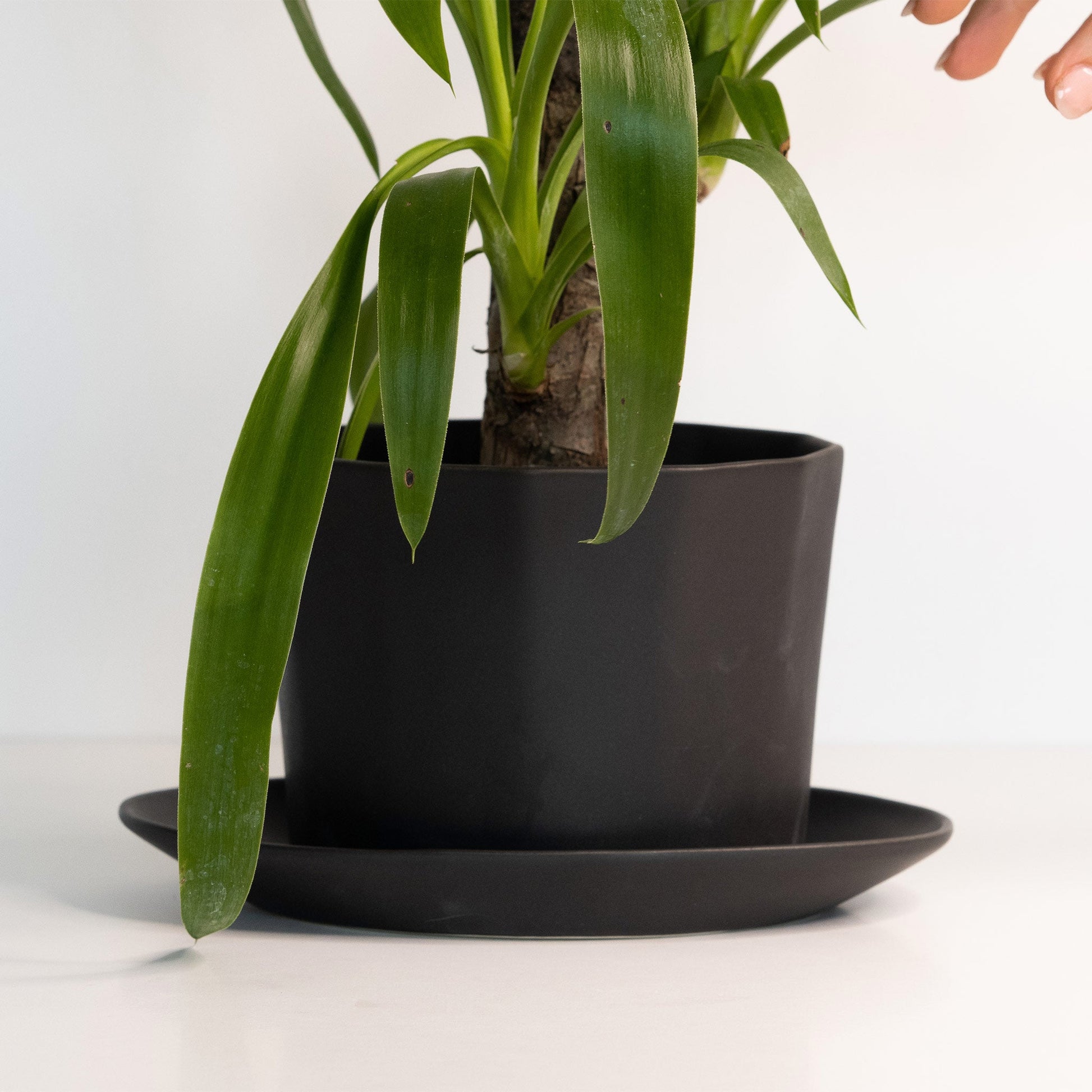 Geometric Oval Handmade Porcelain Planter - Boske.store