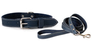 Pro Line Hunting Leather Collar and Leash Set - Boske.store