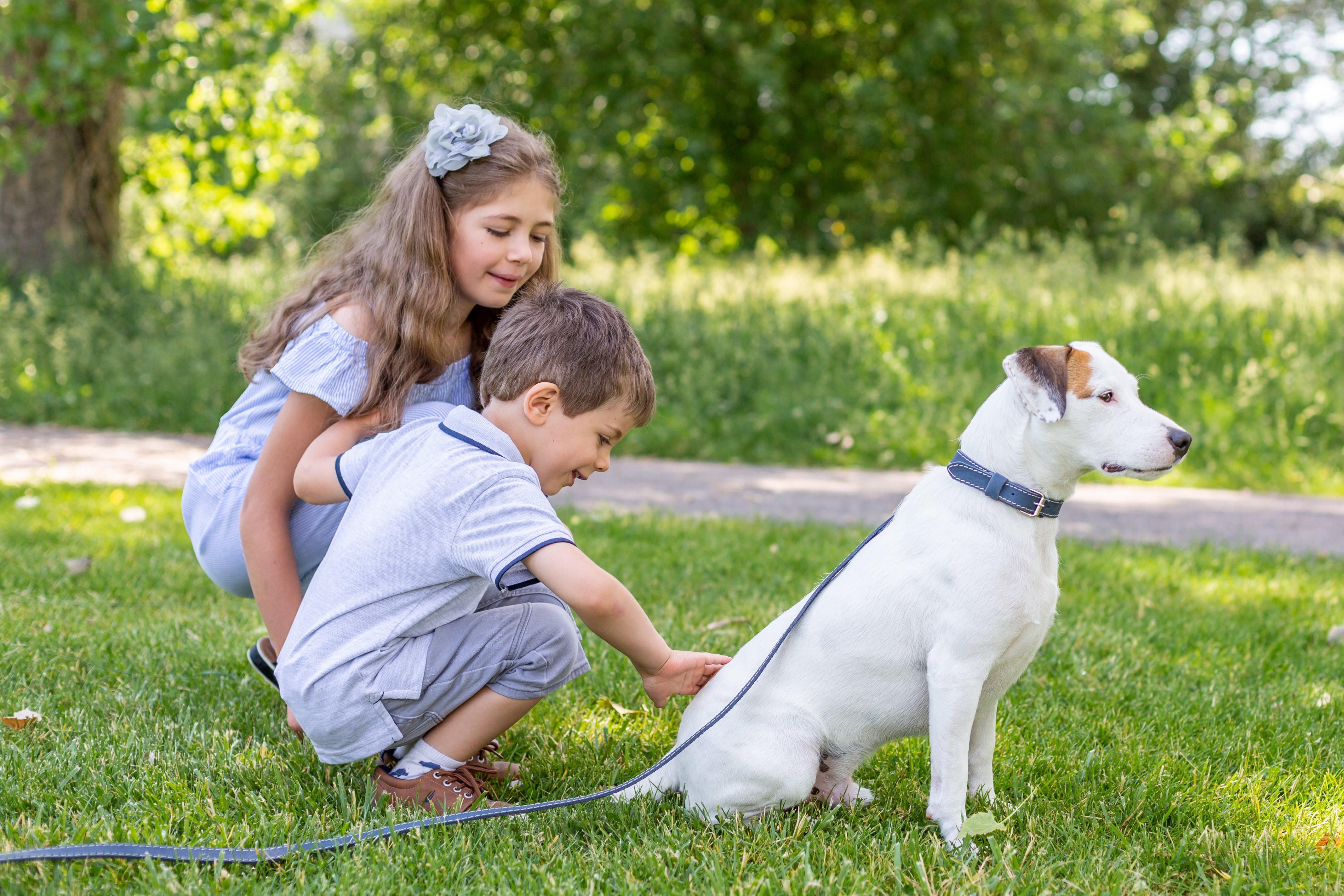 Pro Line Hunting Leather Collar and Leash Set - Boske.store
