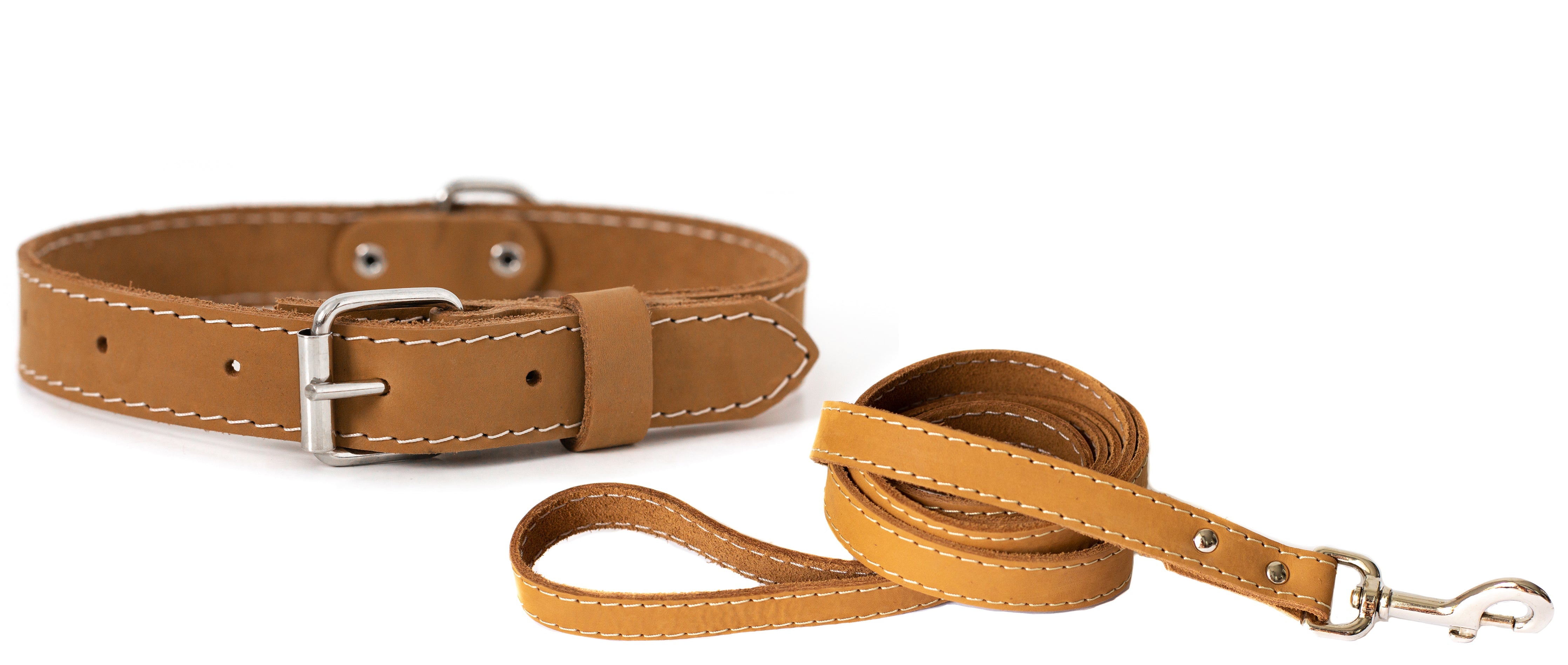 Pro Line Hunting Leather Collar and Leash Set - Boske.store