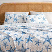 Blue Seashell Coastal Quilt Set - Trinidad Collection - Boske.store