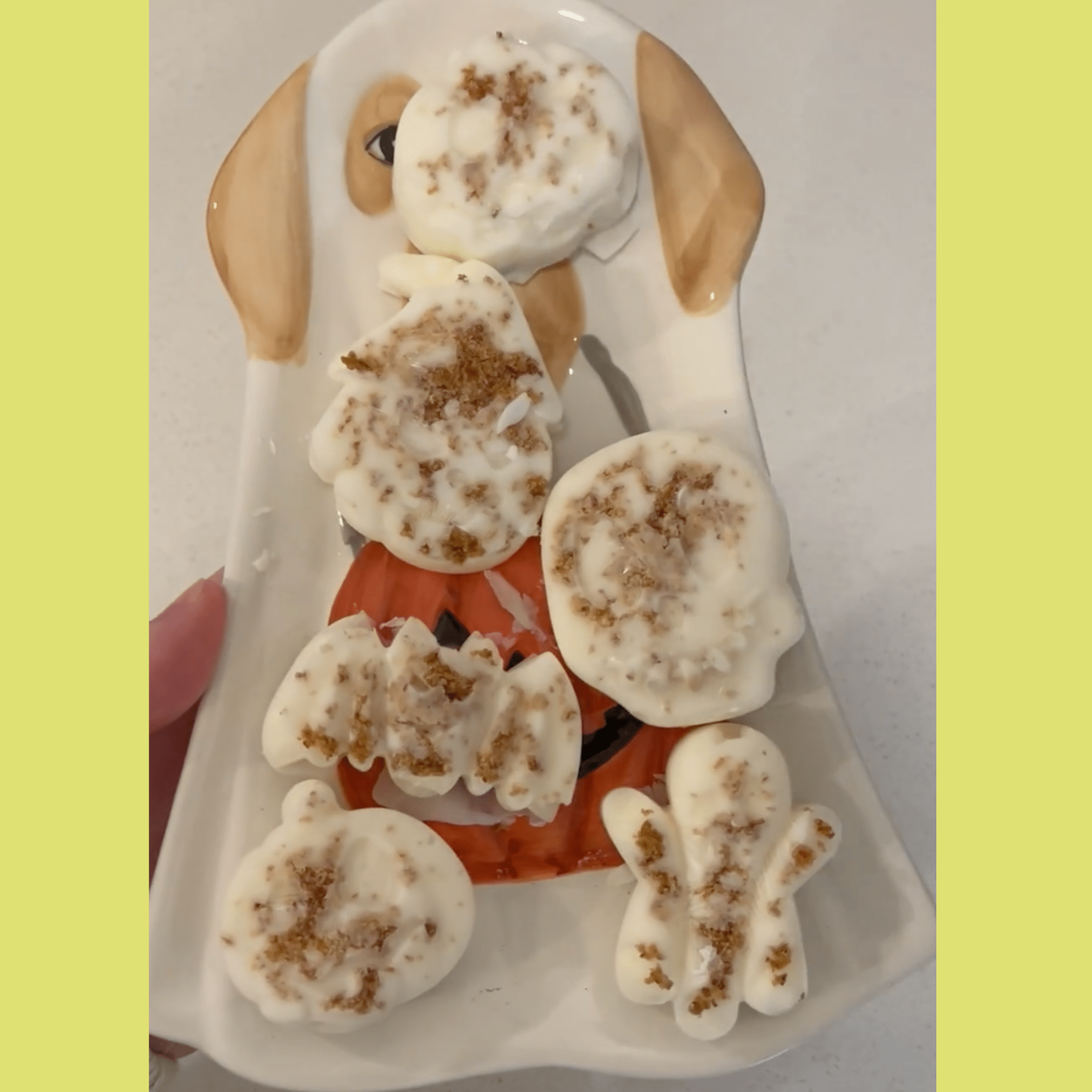 Pet Treat Molds - Boske.store