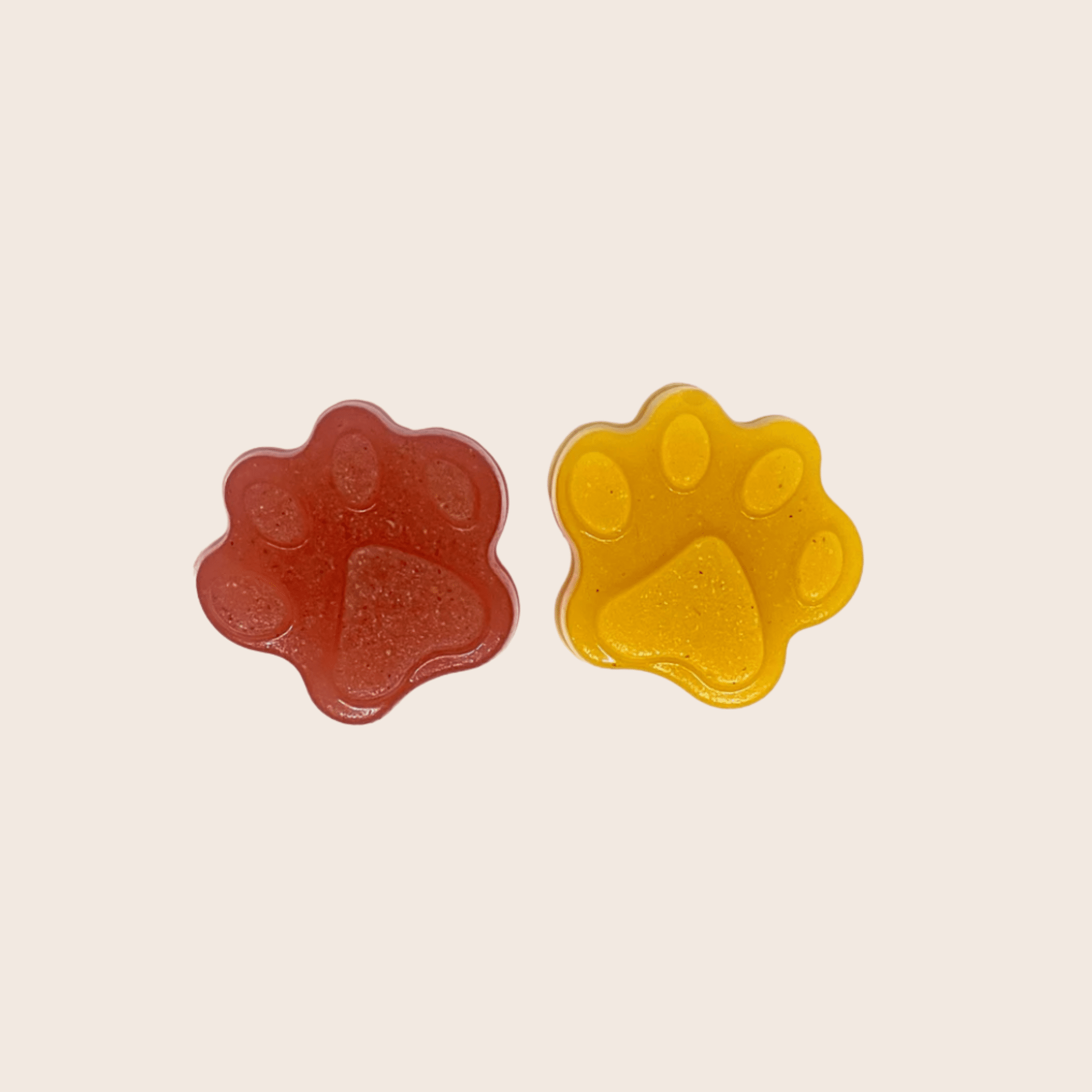 Pet Treat Molds - Boske.store