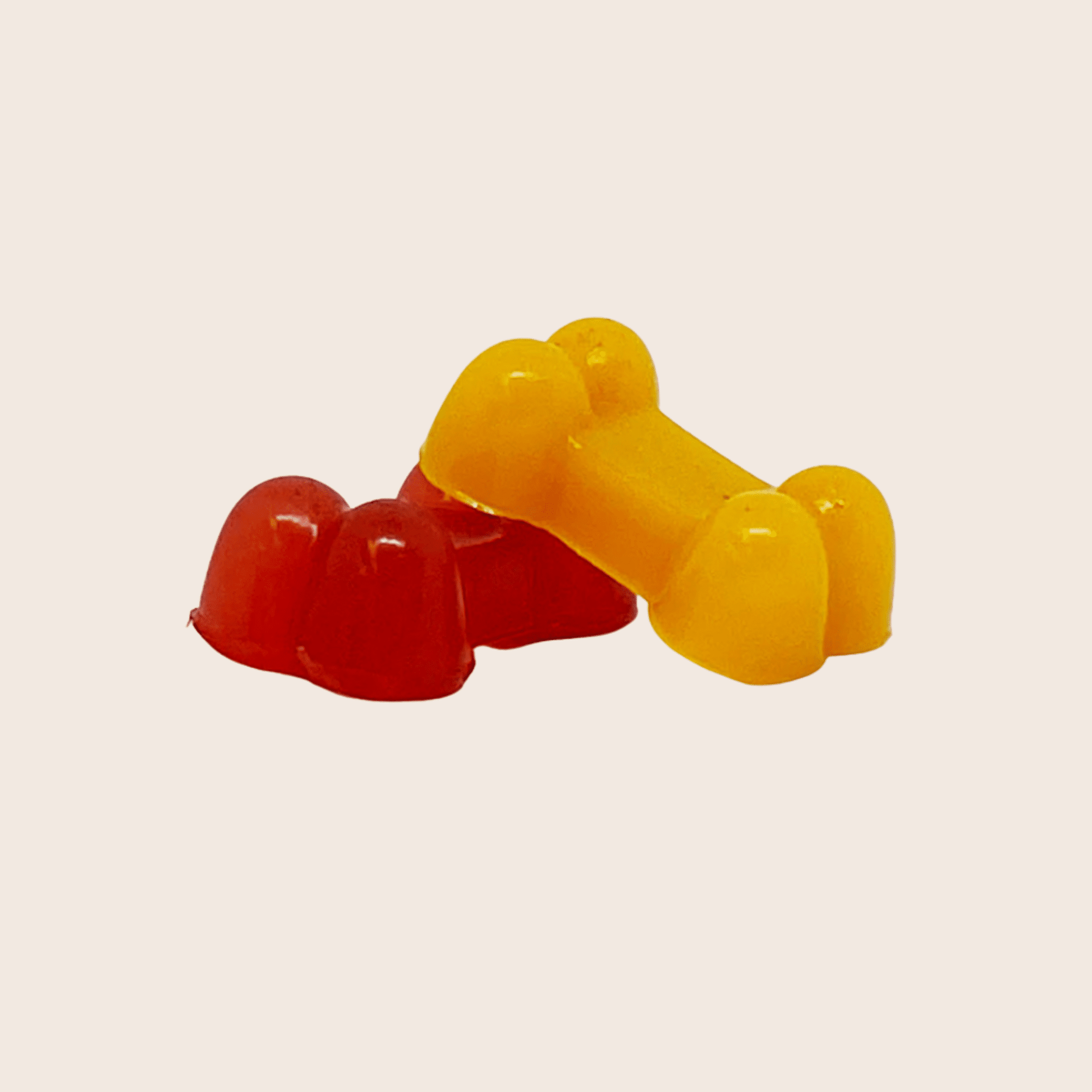 Pet Treat Molds - Boske.store