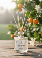 Citrus Blossom - Reed Diffuser - Boske.store